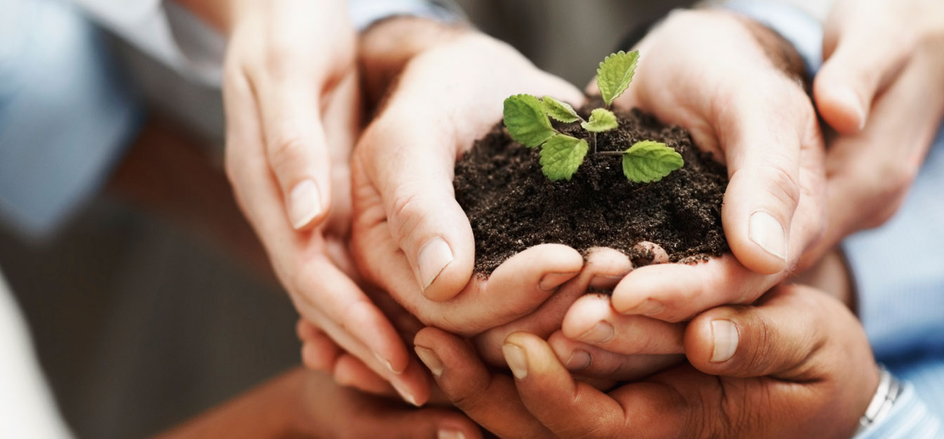 nonprofit web design