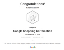 Google Ads Shopping Certification
