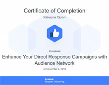 Enhance your direct response campaigns with audience network