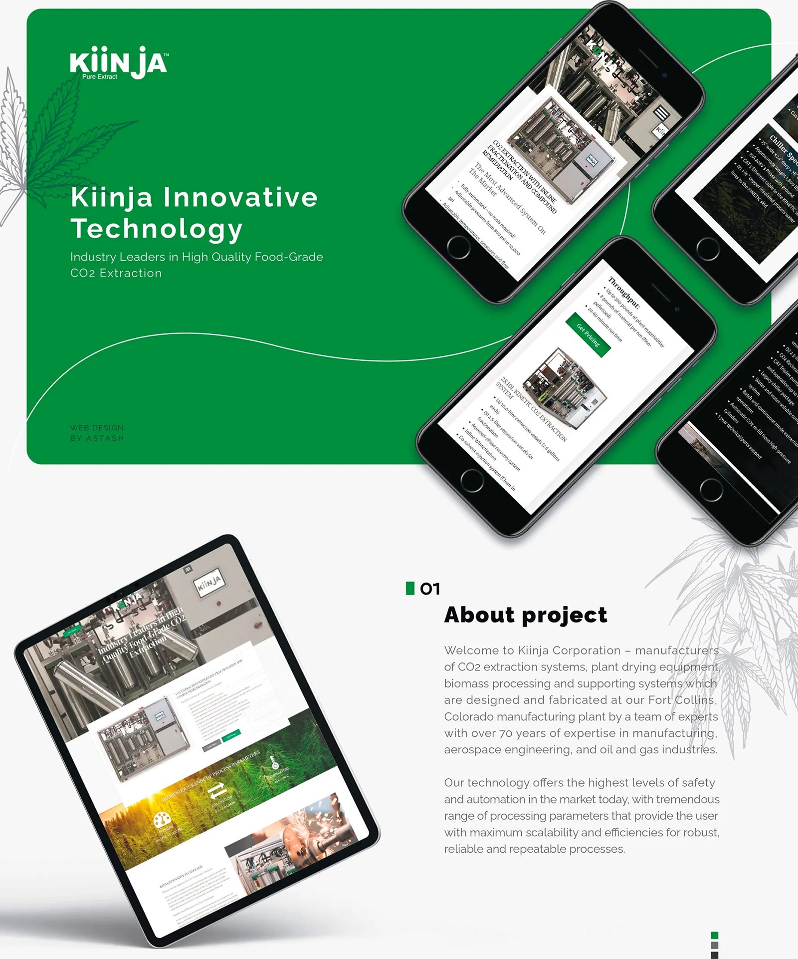 Kiinja website