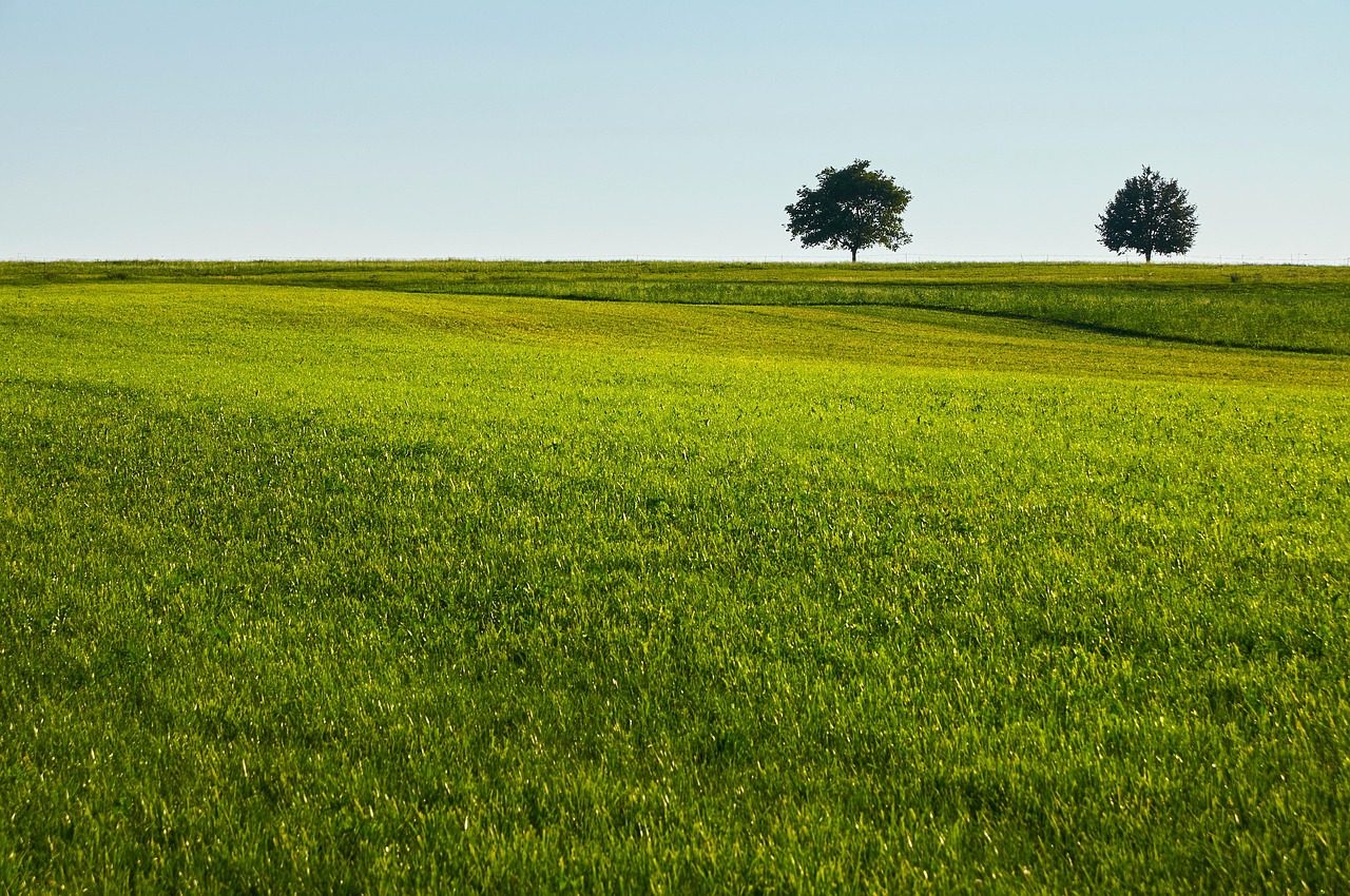 Farm fields on the Colorado plains near Greeley