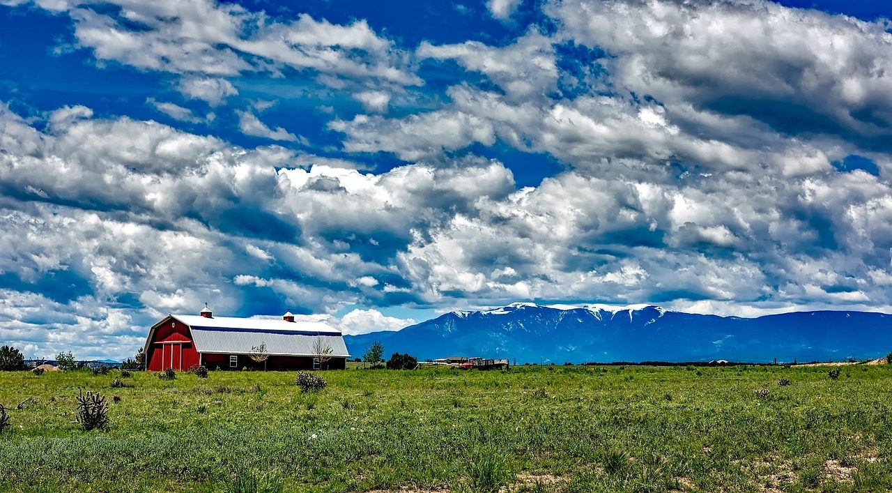 Farm below the Front Range near Longmont