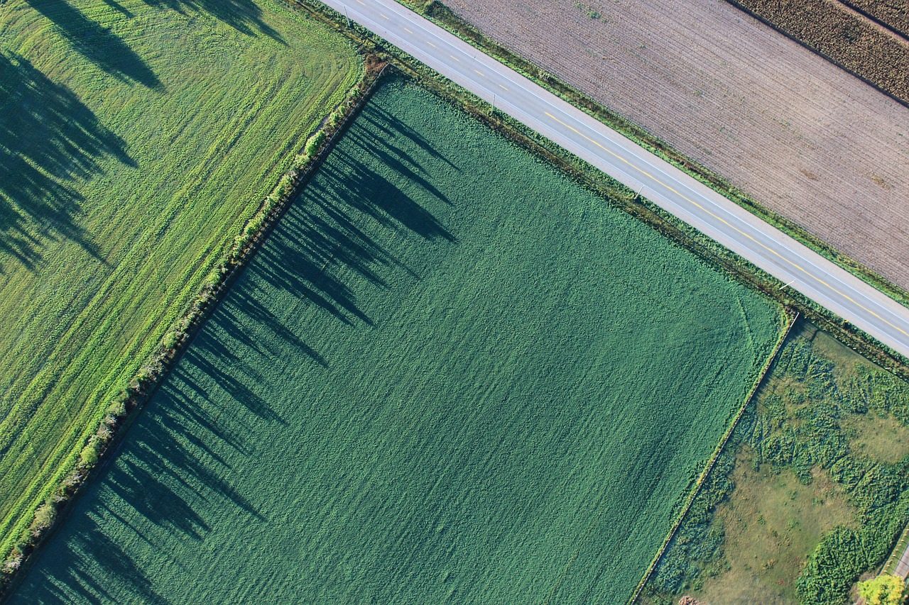 Farmland with the Front Range behind it near Longmont