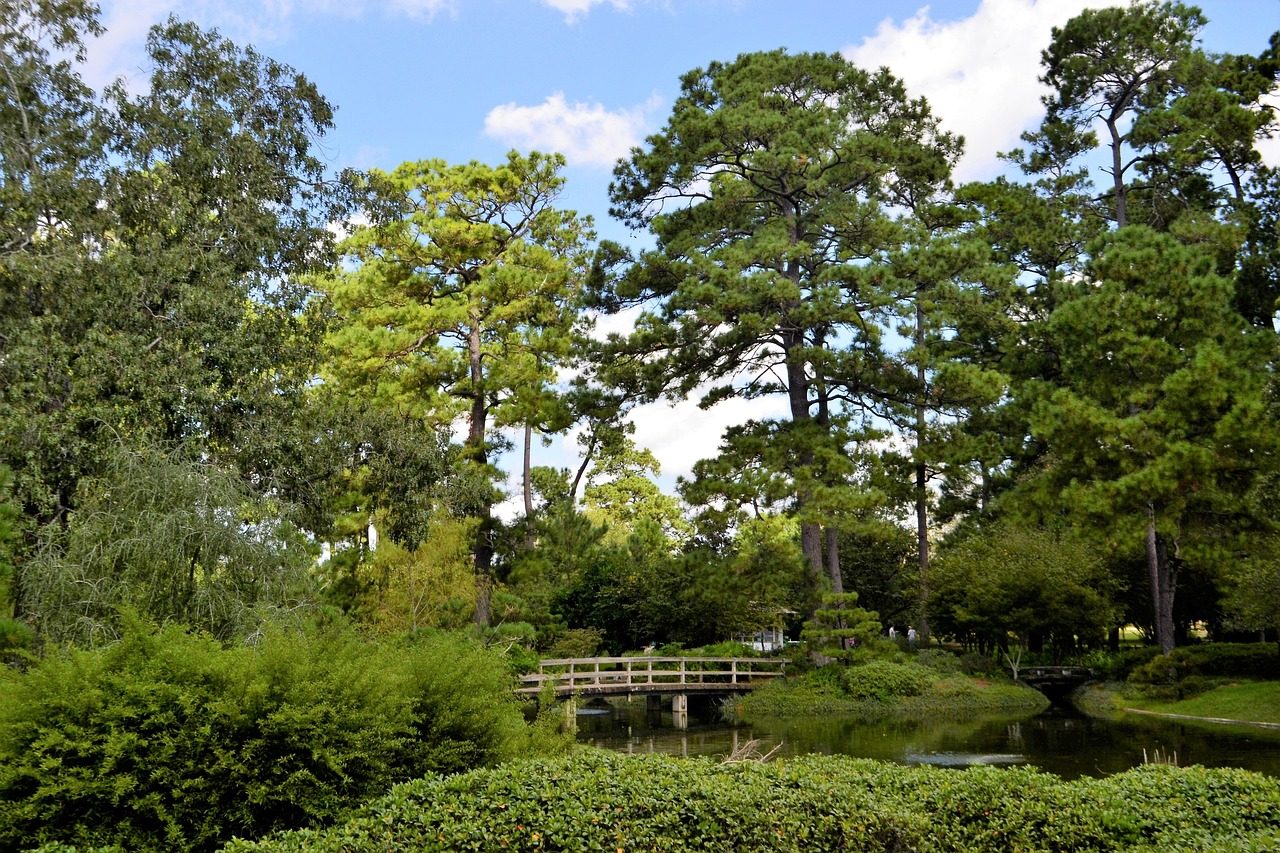 Garden bridge in Hermann Park, Houston