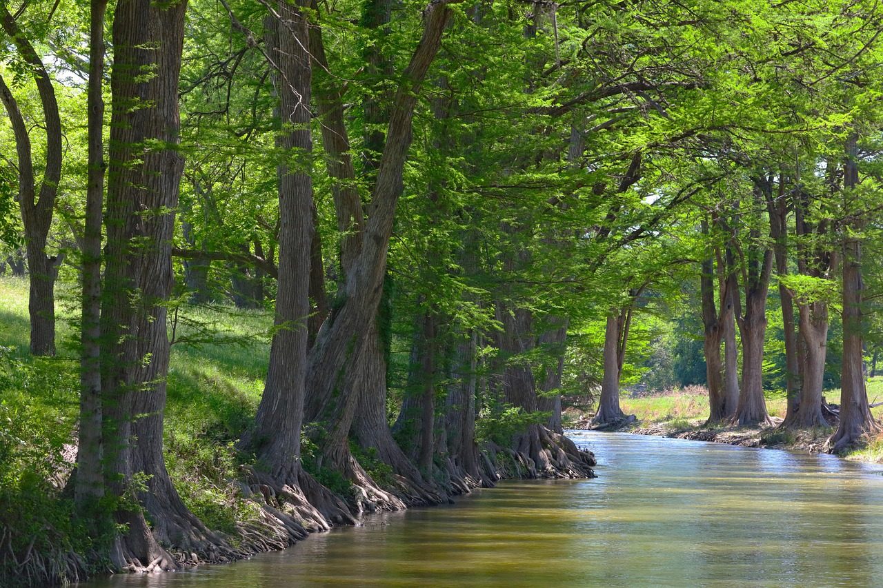 Hill Country river north of San Antonio