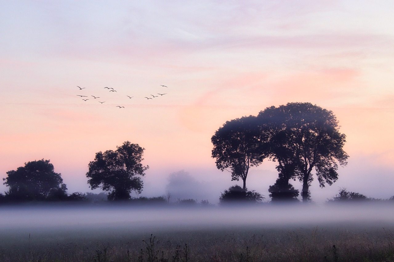 Sunrise over the Northern Colorado prairie