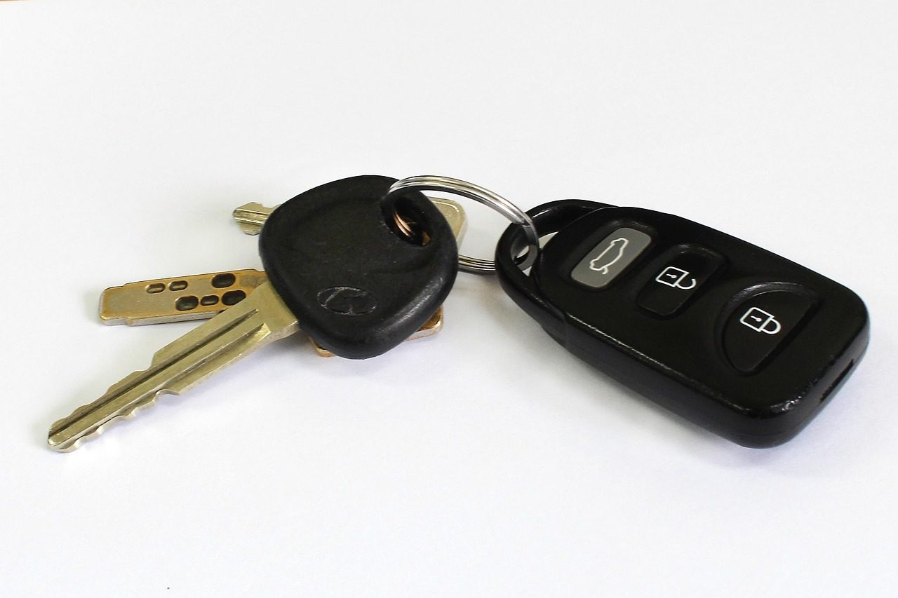 Car key with a remote fob