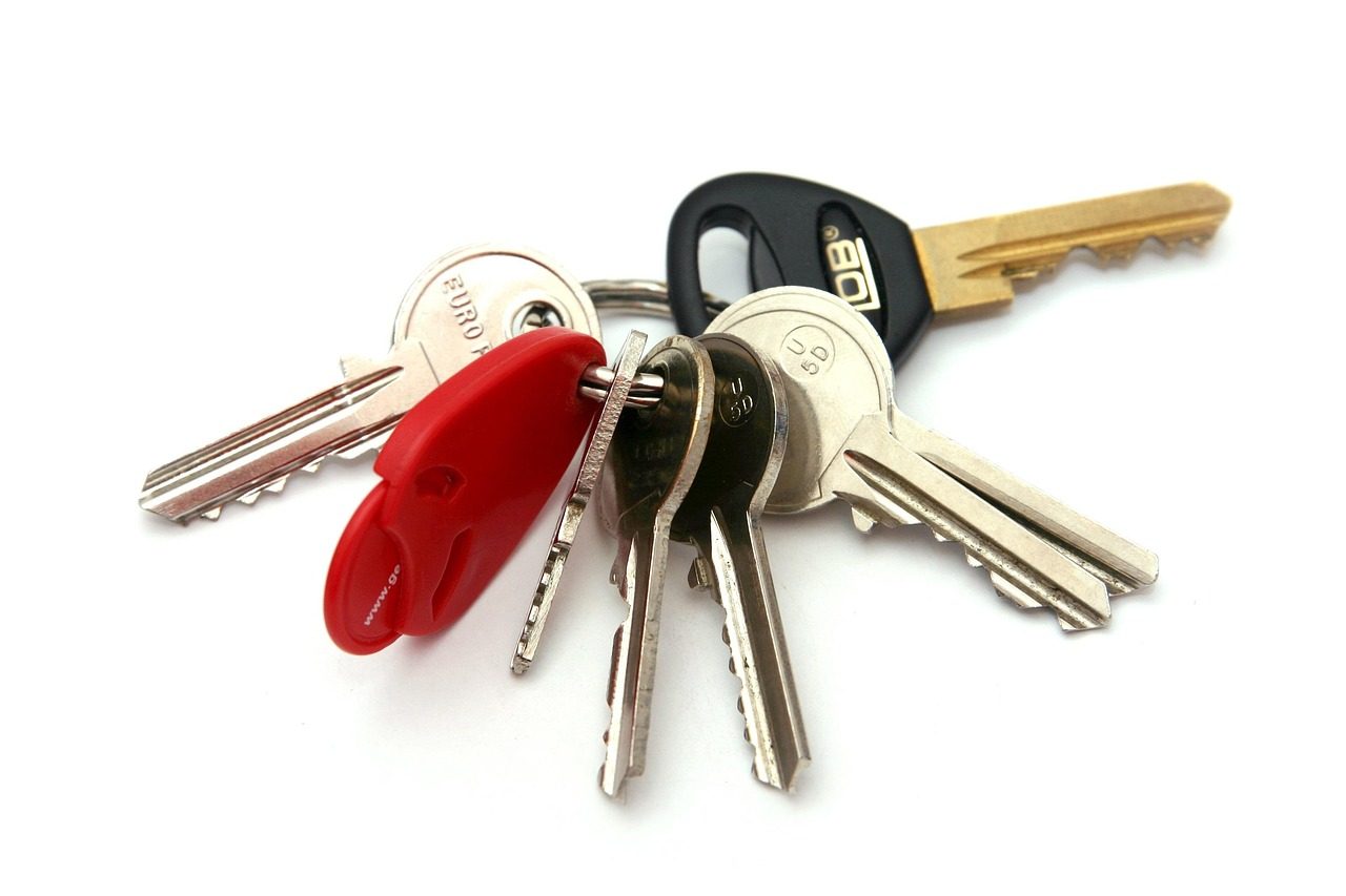 Bunch of keys on a ring
