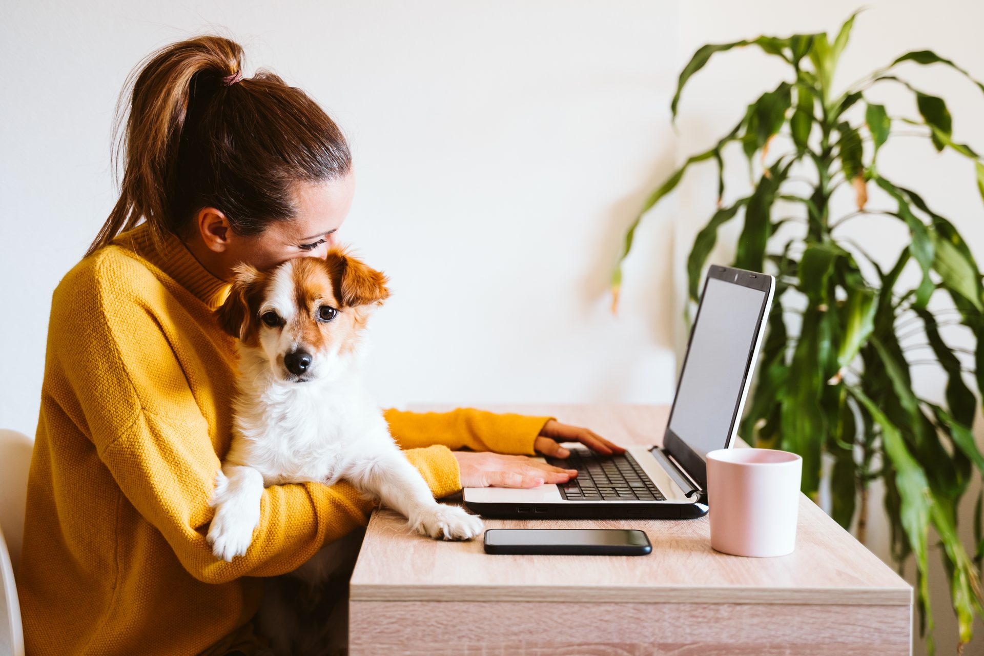 Woman working on a laptop at home with a small dog on her lap